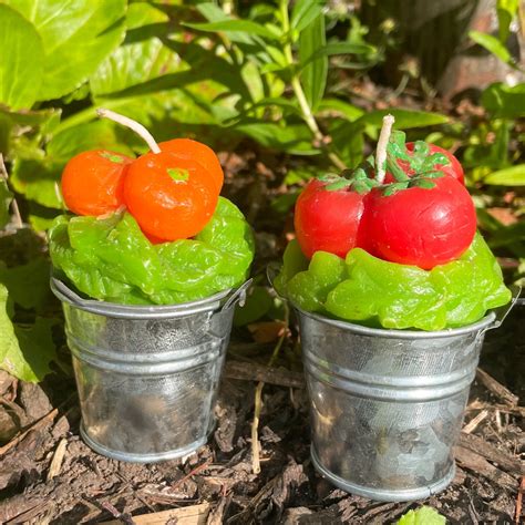 Unique Fruit Shaped Candles Tomato and Orange – Sunshine Thrift
