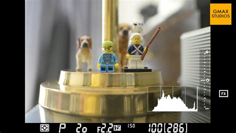 Nikon Program Mode Tutorial 的图像结果