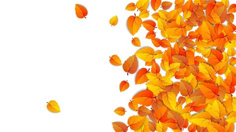 Image result for Poster Layout Guide