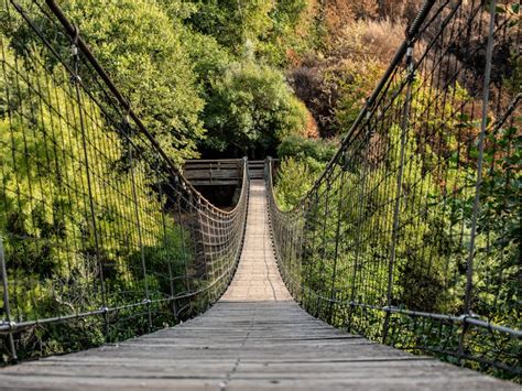 Bridge Rapper 的图像结果