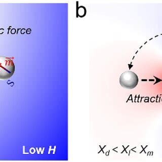 Image result for Levitation Using Magnets