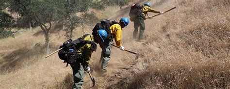Wildland Firefighter Jobs
