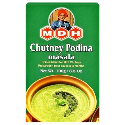 MDH Chutney Podina Masala – MDHmasala