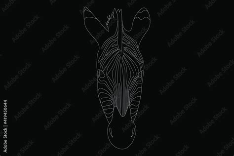 Image result for Zebra Face Drawing