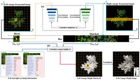 A UAV-Based Single-Lens Stereoscopic Photography Method for Phenotyping ...