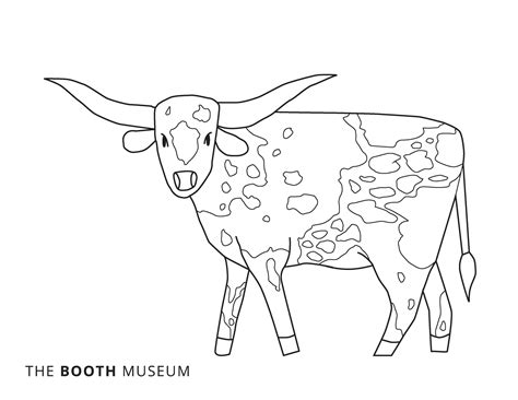 Texas Longhorns Coloring Pages