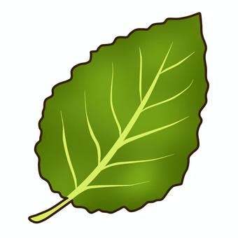 Image result for Un Sample Script