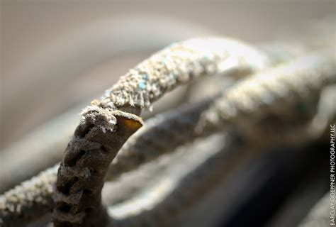 Image result for Lasso Tools Tutorial