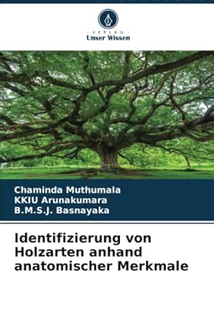 Buy Identifizierung von Holzarten anhand anatomischer Merkmale Book ...