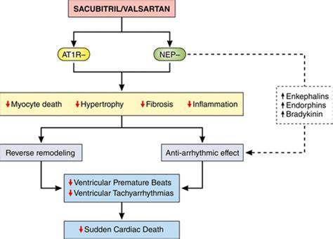 Bildergebnis für sacubitril nebenwirkungen