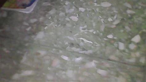 Image result for Wik Coli Wik Pake Pelastik