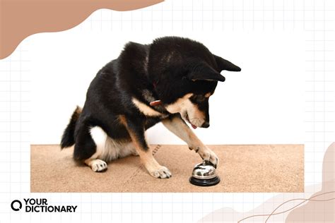 Image result for Classical Conditioning Examples in Real Life