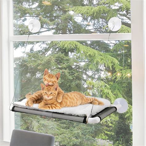 Amazon.com : Cat Window Bed - Cat Window Hammock - Cat Window Perch ...