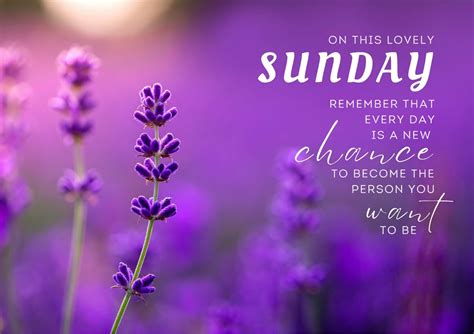 260+ Positive & Inspirational Quotes for Sunday Mornings - DIVEIN