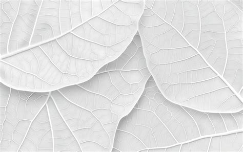 A white textured wall with a leaf cut out | Premium AI-generated image