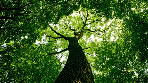 How to Install OpenCV in Command Prompt 的图像结果