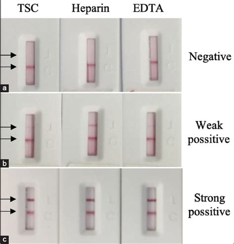 Humoral immune response in COVID-19 patients and novel design of ...