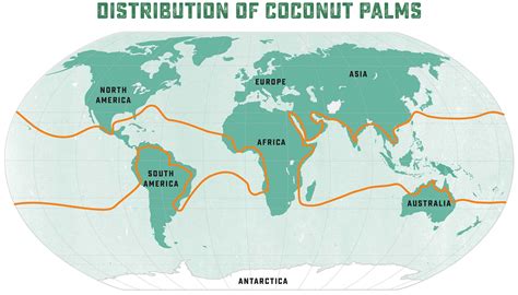 Where Do Coconuts Grow Map Coconut Sourcing | Nestlé Global