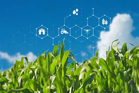 Smart farming, agriculture technology | Premium Photo - rawpixel