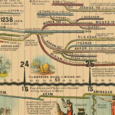 Adams Time Chart (Custom) – Lost World Museum