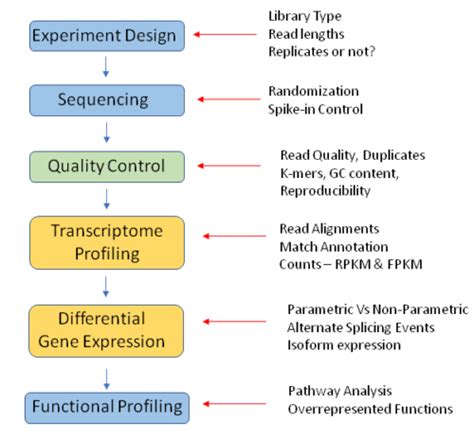 RNA-Seq Analysis Tutorial 的图像结果