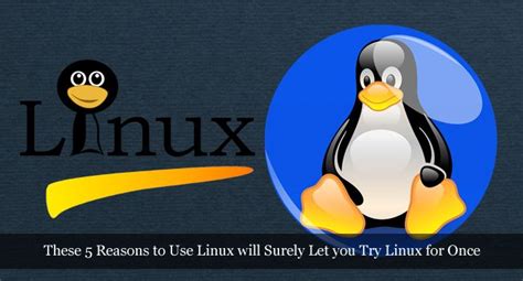 Use Linux 的图像结果