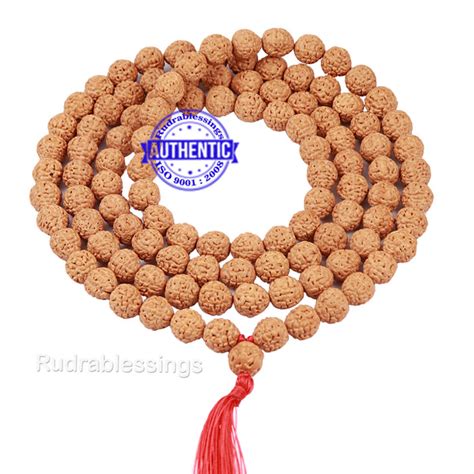 RUDRAKSHA, Nepal rudraksh beads, Indonesian rudraksha beads, rudraksha ...