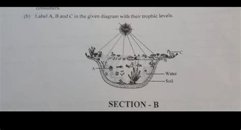 give the answer of this diagram of biology - Brainly.in