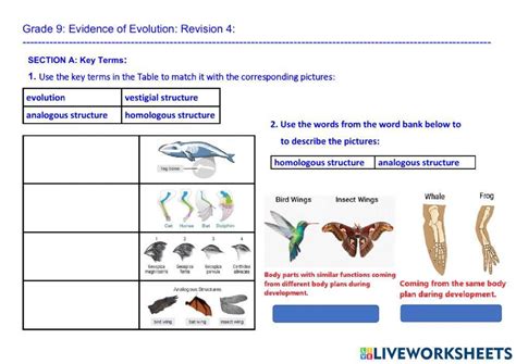 Evidence for Evolution Worksheet 的图像结果