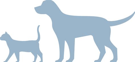 Boehringer Ingelheim and Invetx collaborates to advance monoclonal ...