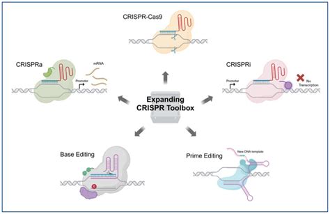 Image result for CRISPR Benefits