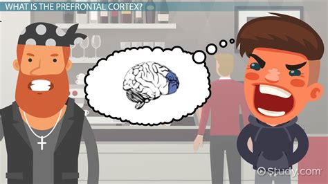 Image result for Prefrontal Cortex Brain Conductor Cartoon