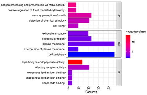 Genome-Wide Scans for Selection Signatures in Ningxia Angus Cattle ...