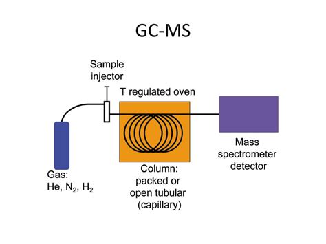 Image result for GC/MS Clean Source