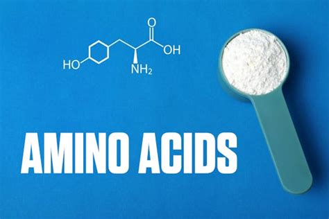 Dymatize | Importance and Benefits of Amino Acids in Whey Protein for…