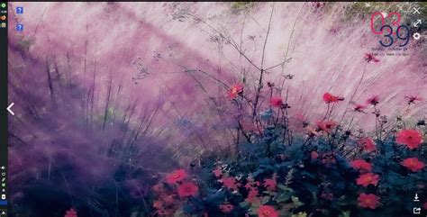 Linux 32-Bit 2022 的图像结果