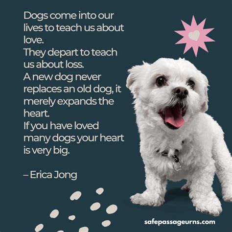 Poems About Death Of Dog