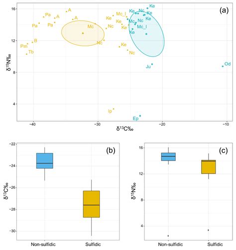 Sulfidic Habitats in the Gypsum Karst System of Monte Conca (Italy ...
