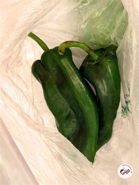 Poblano Peppers: Scoville, Cooking, & Growing + 3 Easy Ways To Roast ...