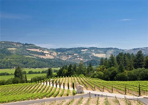 Where To Go In Napa Valley