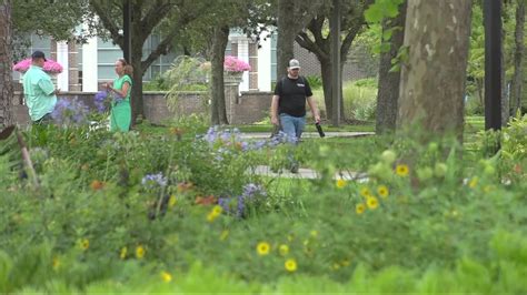 Will out-of-state tuition go up at universities in Florida ...