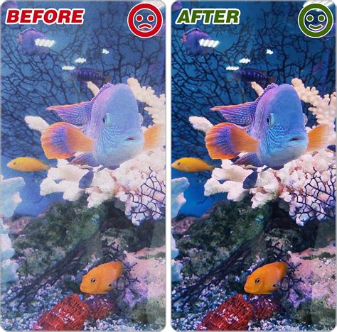 Buy Bylion 6 Pack Aquarium Cleaner for Glass Walls, Aquarium Scrubber ...