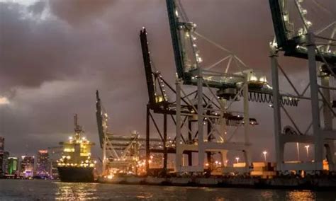 Slowdown to continue post-LNY, says Freightos