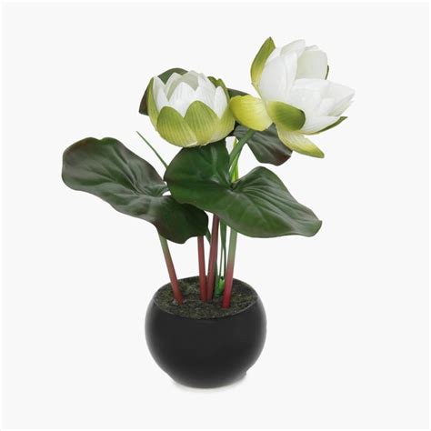 Buy Lotus In Ceramic Black Pot from Home Centre at just INR 299.0