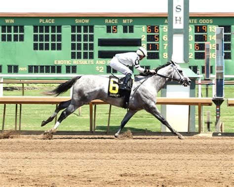 Saudi Crown in BC Dirt Mile picture after comeback score at Ellis Park ...