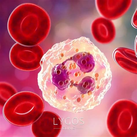 What Is NEU (Neutrophil)? | What Does NEU Low Or High Mean?