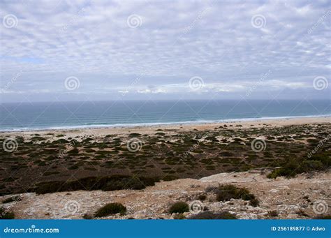 Great Australian Bight stock image. Image of park, natural - 256189877