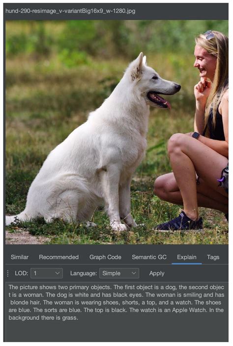 Towards Automated Semantic Explainability of Multimedia Feature Graphs