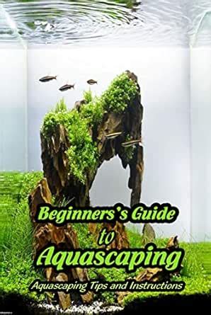 Beginners’s Guide to Aquascaping: Aquascaping Tips and Instructions ...