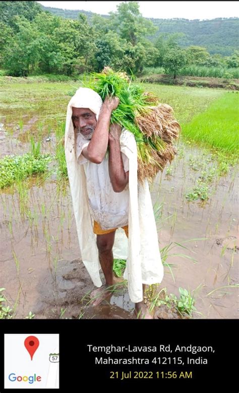 Centre for Rural Development & Technology || Indian Institute of ...